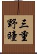 三重野瞳 Scroll