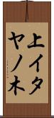 上イタヤノ木 Scroll