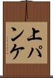 上パンケ Scroll