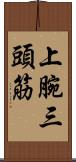 上腕三頭筋 Scroll