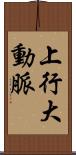 上行大動脈 Scroll