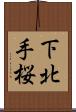 下北手桜 Scroll