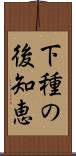 下種の後知恵 Scroll