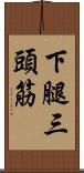 下腿三頭筋 Scroll