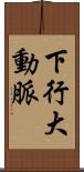 下行大動脈 Scroll