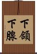 下頜下腺 Scroll