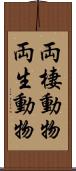 両棲動物 Scroll