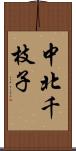 中北千枝子 Scroll