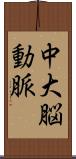 中大脳動脈 Scroll