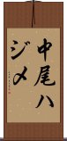 中尾ハジメ Scroll