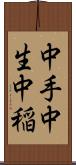 中手 Scroll