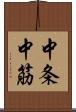 中条中筋 Scroll