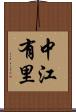 中江有里 Scroll