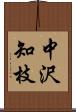 中沢知枝 Scroll