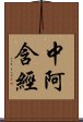 中阿含經 Scroll