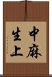 中麻生上 Scroll