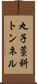 丸子藁科トンネル Scroll