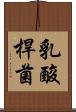 乳酸桿菌 Scroll