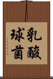 乳酸球菌 Scroll