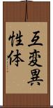 互変異性体 Scroll