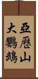 亞歷山大鸚鵡 Scroll