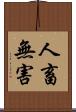 人畜無害 Scroll