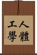 人體工學 Scroll