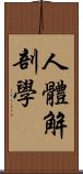 人體解剖學 Scroll