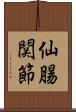 仙腸関節 Scroll