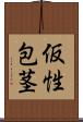 仮性包茎 Scroll