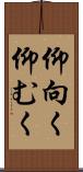 仰向く Scroll