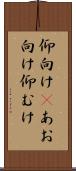 仰向け(P) Scroll