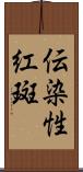 伝染性紅斑 Scroll