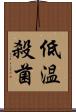 低温殺菌 Scroll