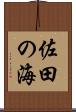 佐田の海 Scroll