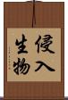侵入生物 Scroll