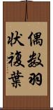 偶数羽状複葉 Scroll