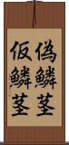 偽鱗茎 Scroll