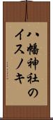 八幡神社のイスノキ Scroll