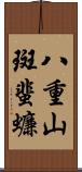 八重山斑蜚蠊 Scroll