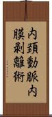 内頚動脈内膜剥離術 Scroll