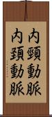 内頸動脈 Scroll