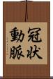 冠状動脈 Scroll