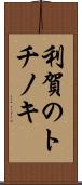 利賀のトチノキ Scroll