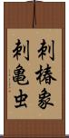 刺椿象 Scroll