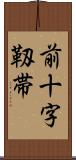 前十字靱帯 Scroll