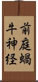前庭蝸牛神経 Scroll
