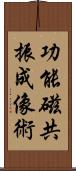 功能磁共振成像術 Scroll