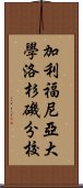 加利福尼亞大學洛杉磯分校 Scroll