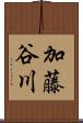 加藤谷川 Scroll